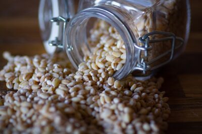 Céréales Bio et sans Gluten